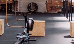Activités Physiques pour Tous : Licence 1 STAPS