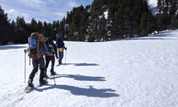 DE Alpinisme : Accompagnateur Moyenne Montagne – Formation générale commune aux métiers d’enseignement, d’encadrement et d’entraînement des sports de montagne